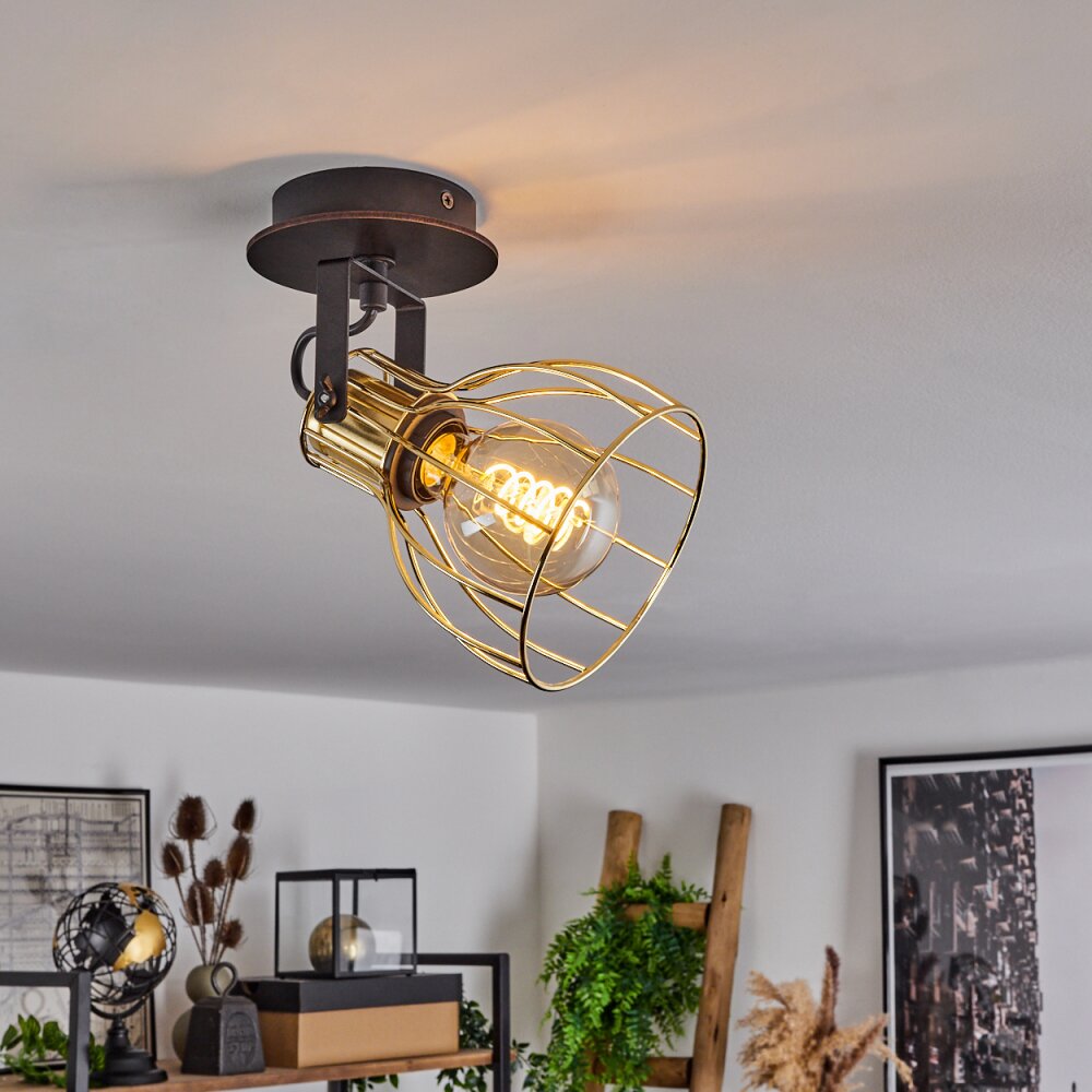 Bitterroot Ceiling Light black, 1-light source