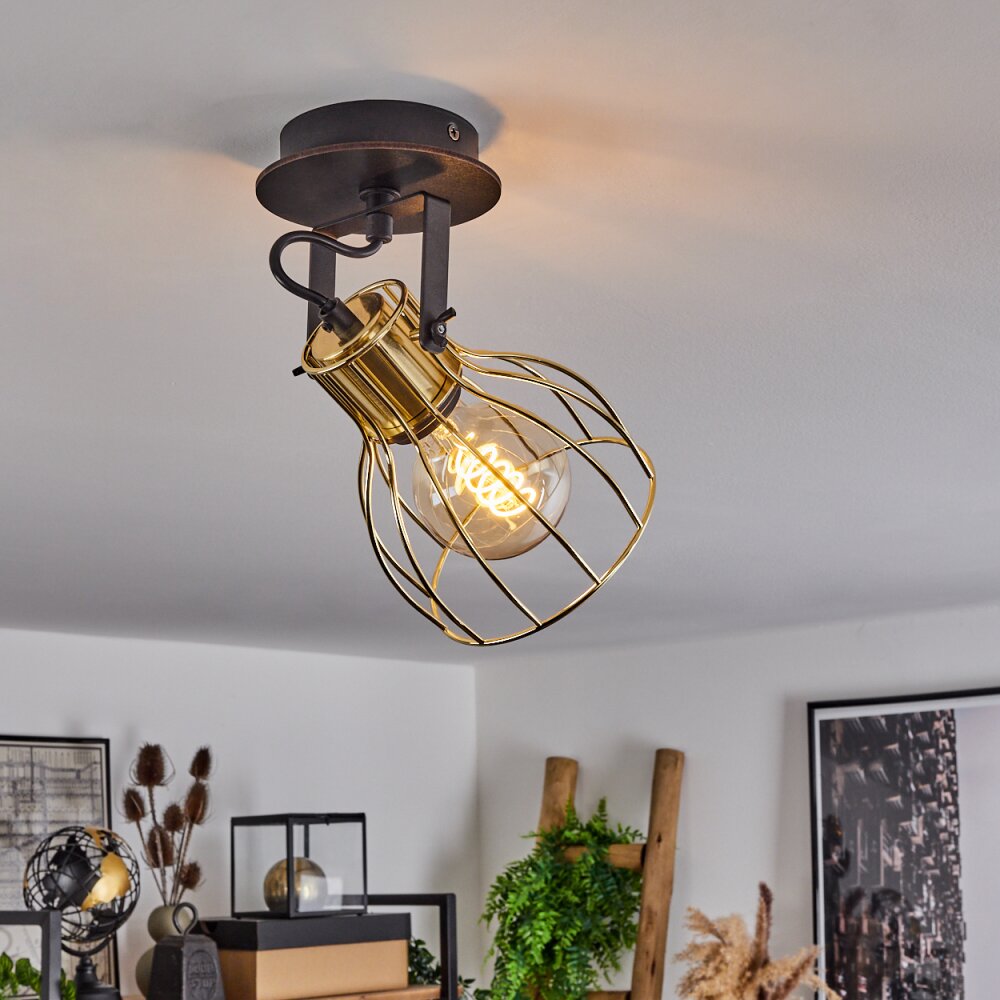 Bitterroot Ceiling Light black, 1-light source