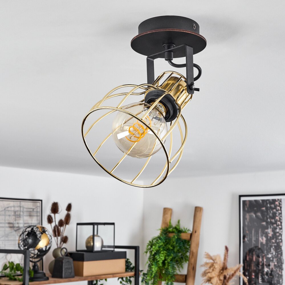 Bitterroot Ceiling Light black, 1-light source