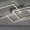 Paul Neuhaus PAAN Ceiling Light LED brushed steel, 1-light source, Remote control