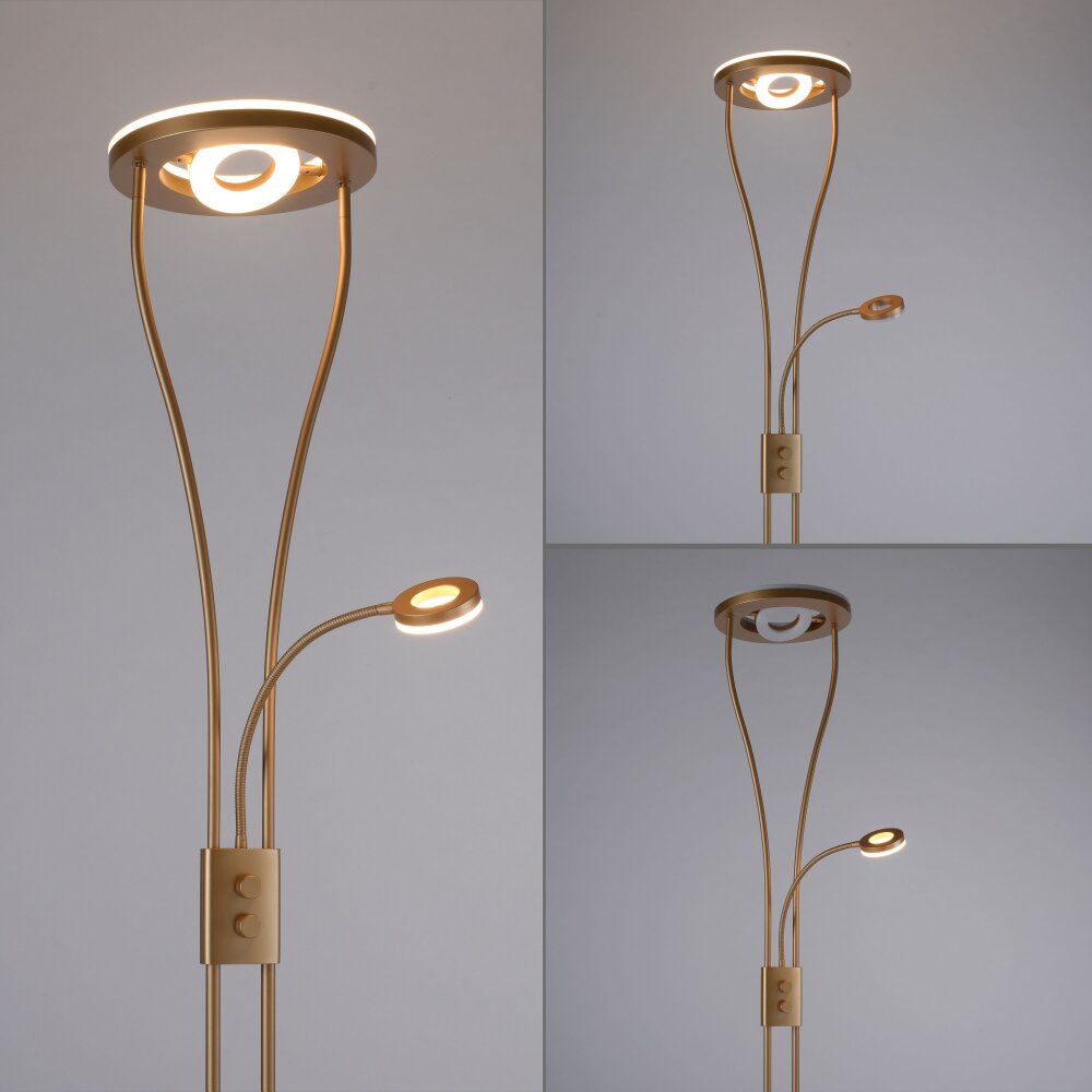 Leuchten-Direkt HELIA UpLighter LED brass, 3-light sources