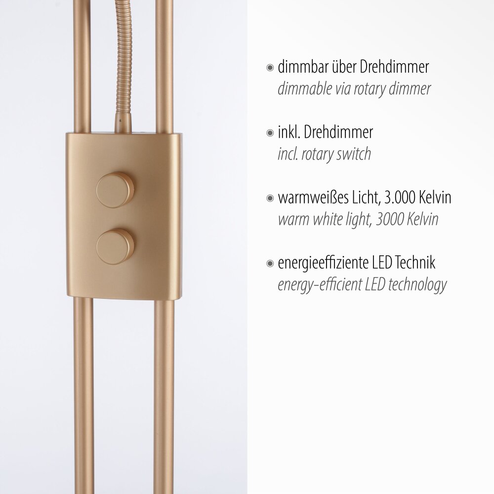 Leuchten-Direkt HELIA UpLighter LED brass, 3-light sources