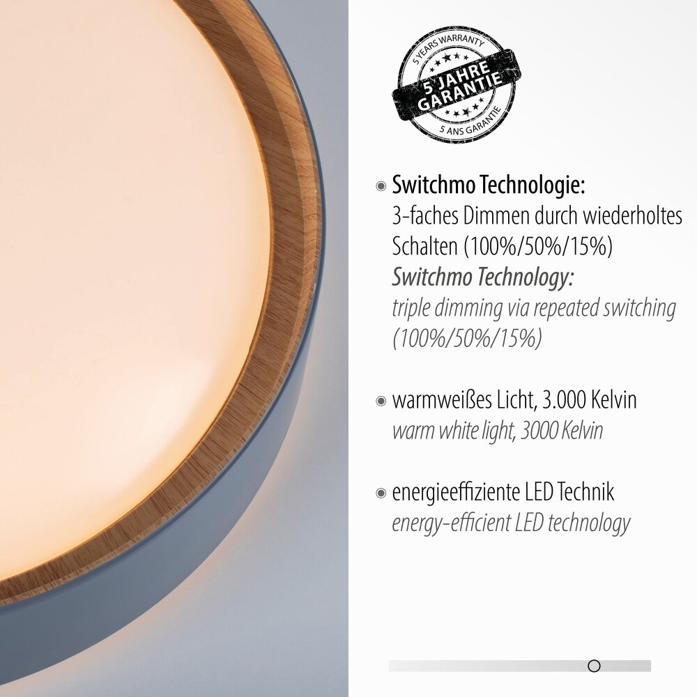 Leuchten-Direkt EMILIA Ceiling Light LED grey, Ecru, 1-light source