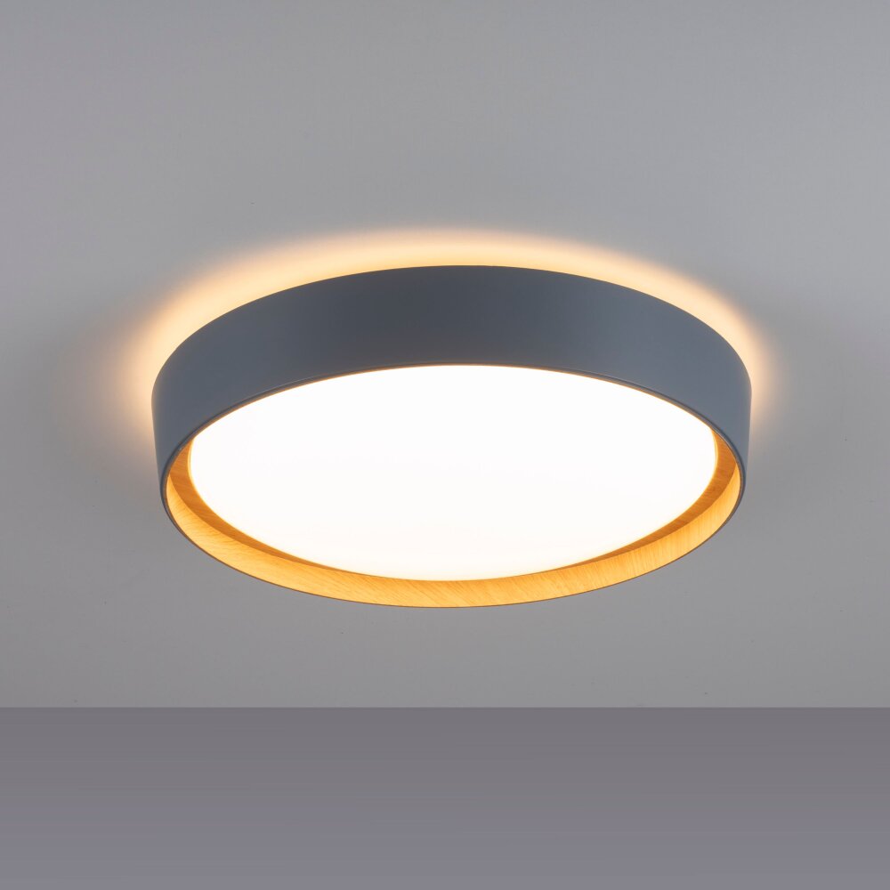 Leuchten-Direkt EMILIA Ceiling Light LED grey, Ecru, 1-light source
