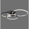 Leuchten-Direkt PAPILON Ceiling Light LED black, 1-light source