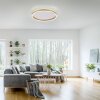 Leuchten-Direkt RITUS Ceiling Light LED brass, 1-light source