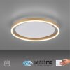 Leuchten-Direkt RITUS Ceiling Light LED brass, 1-light source