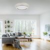 Leuchten-Direkt RITUS Ceiling Light LED aluminium, 1-light source