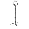 Ledvance MOBILE RING Floor Lamp black, 1-light source