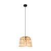 Eglo GLYNEATH Pendant Light black, 1-light source