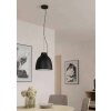 Eglo CAMASCA Pendant Light black, 1-light source