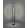 Eglo SIBERIA Floor Lamp LED black, 1-light source, Remote control