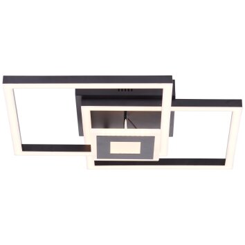 Brilliant Bray Ceiling Light LED black, white, 1-light source