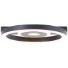 Brilliant Maureen Ceiling Light LED black, white, 1-light source