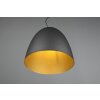 Reality Tilda Pendant Light black-gold, 1-light source