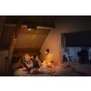 Philips Hue Runner Ceiling Light LED black, 2-light sources, Remote control