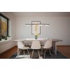 Eglo TORRETTA Pendant Light LED matt nickel, 4-light sources