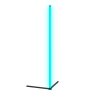 Eglo RGBIC Floor Lamp LED black, 1-light source, Remote control, Colour changer