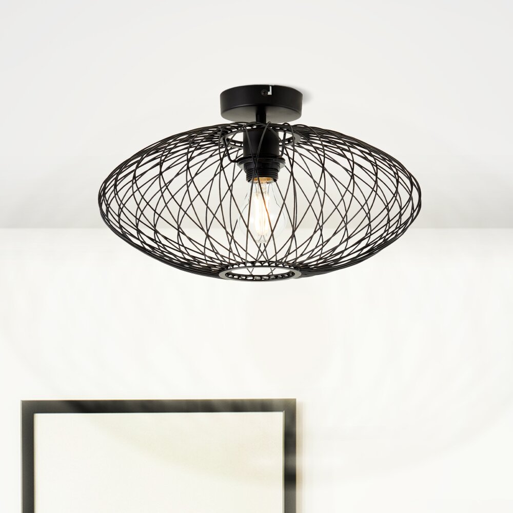Brilliant Norden Ceiling Light black, 1-light source main product photo