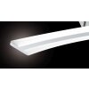 Paul Neuhaus Q-Riller Ceiling Light LED chrome, 2-light sources, Remote control, Colour changer