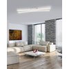 Paul Neuhaus Q-Riller Ceiling Light LED chrome, 2-light sources, Remote control, Colour changer