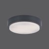 Paul Neuhaus Q-LENNY Ceiling Light LED anthracite, 1-light source, Remote control, Colour changer