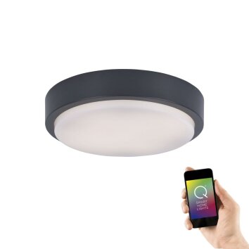 Paul Neuhaus Q-LENNY Ceiling Light LED anthracite, 1-light source, Remote control, Colour changer