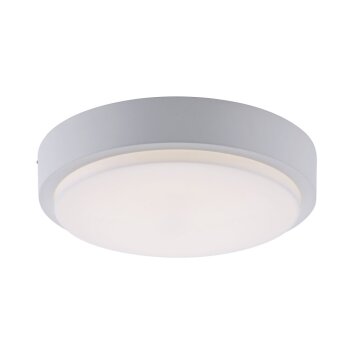 Paul Neuhaus Q-LENNY Ceiling Light LED white, 1-light source, Remote control, Colour changer