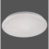 Leuchten Direkt SKYLER Ceiling Light LED white, 1-light source, Motion sensor