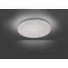 Leuchten Direkt SKYLER Ceiling Light LED white, 1-light source, Motion sensor