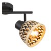 Globo COLLY Ceiling Light black, 2-light sources