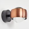 Sapri Wall Light copper, black, 1-light source