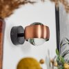 Sapri Wall Light copper, black, 1-light source