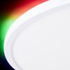 Brilliant Saltery Ceiling Light LED white, 1-light source, Remote control, Colour changer