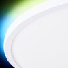 Brilliant Saltery Ceiling Light LED white, 1-light source, Remote control, Colour changer