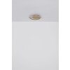 Globo REBALL Ceiling Light LED gold, 1-light source