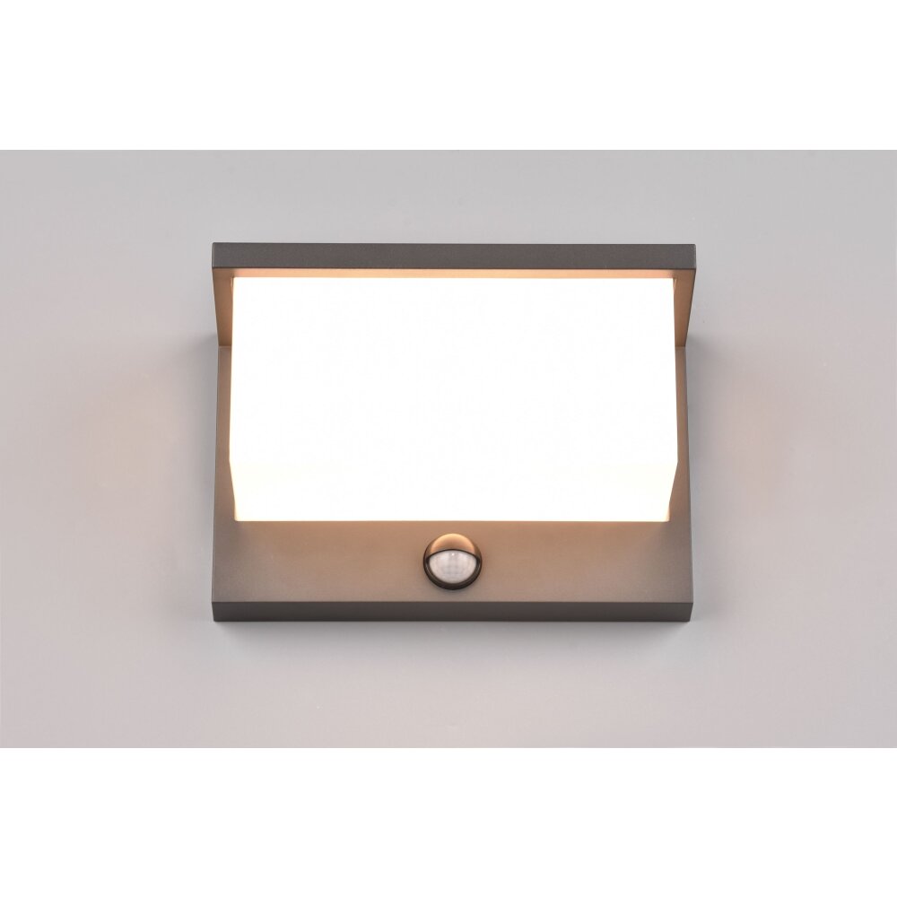 Trio Nestos Outdoor Wall Light LED anthracite, 1-light source, Motion sensor