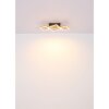 Globo DUSTIN Ceiling Light LED Dark wood, black, 1-light source