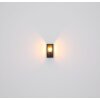 Globo GUNDULA Outdoor Wall Light black, 1-light source