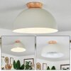 Kanchriech Ceiling Light Ecru, 1-light source