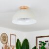 Kanchriech Ceiling Light Ecru, 1-light source