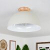 Kanchriech Ceiling Light Ecru, 1-light source