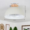 Kanchriech Ceiling Light Ecru, 1-light source