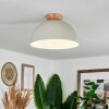 Kanchriech Ceiling Light Ecru, 1-light source