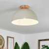 Kanchriech Ceiling Light Ecru, 1-light source