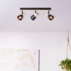 Brilliant Daintree Ceiling Light Ecru, black, 3-light sources