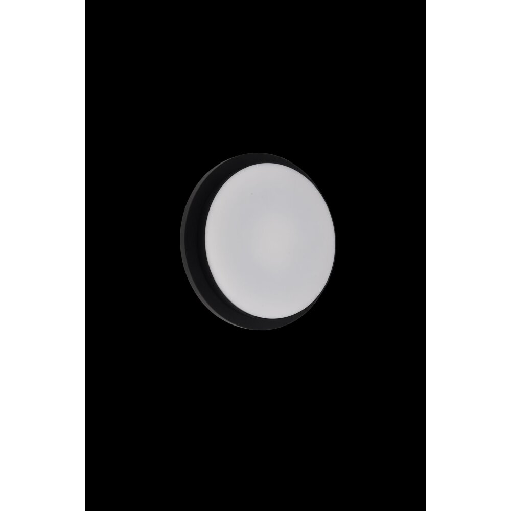 Lutec Goleta Outdoor Wall Light LED black, 1-light source