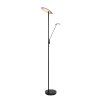 Steinhauer Daphne UpLighter LED black, 2-light sources