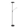 Steinhauer Daphne UpLighter LED black, 2-light sources