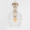 Steinhauer Grazioglass Pendant Light brass, 1-light source